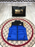 The North Face Royal Blue 700-Fill Down Puffer Vest